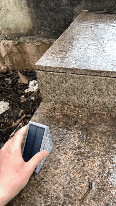 "Illuminate Your Evenings, Enrich Your Life"